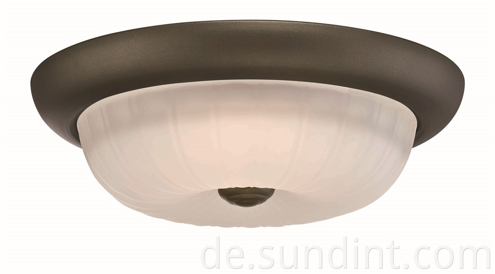 Ceiling Light